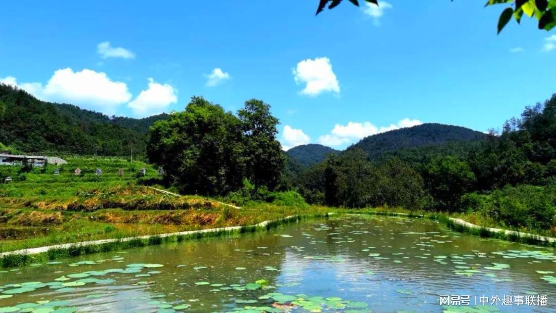 24小时自助下单平台云商城：自助购物新体验便捷生活随心选